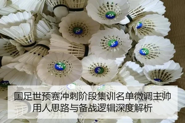 国足世预赛冲刺阶段集训名单微调主帅用人思路与备战逻辑深度解析